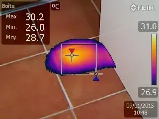 thermographie